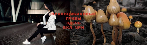 трава Аркадак