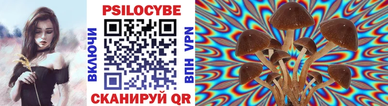 Псилоцибиновые грибы Psilocybine cubensis  Астрахань 